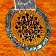 Kelly Bass detail